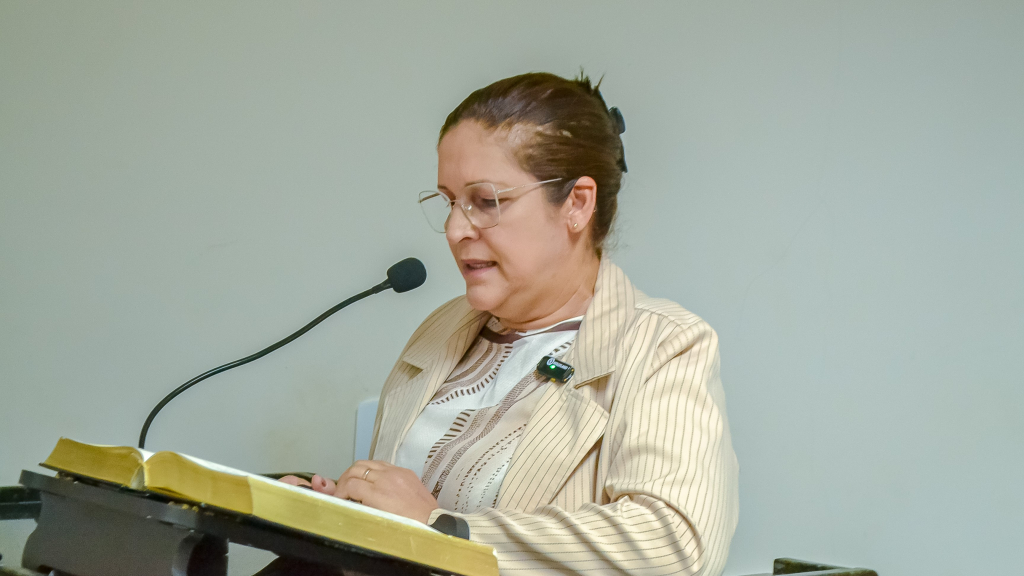 Câmara de Ipubi aprova projeto sobre animais soltos e requerimentos de interesse público